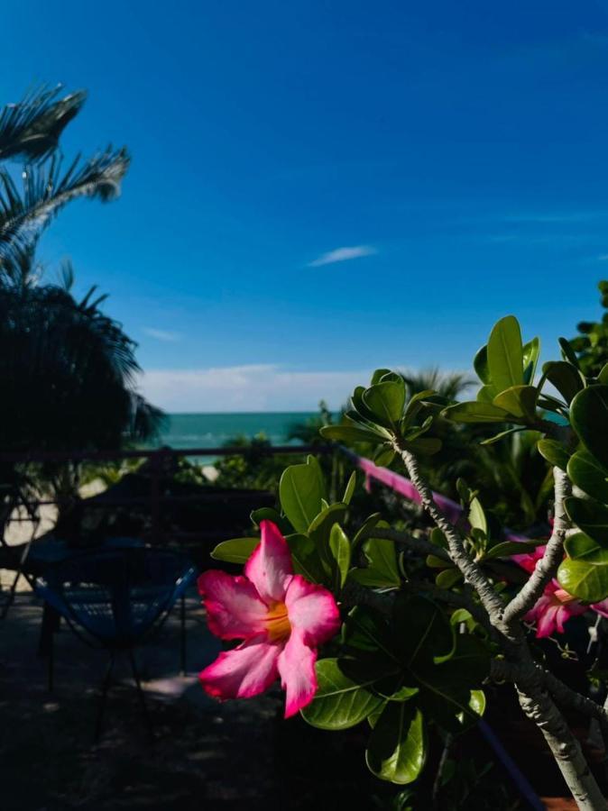 Hotel Gutierrez เซเลสตุน ภายนอก รูปภาพ