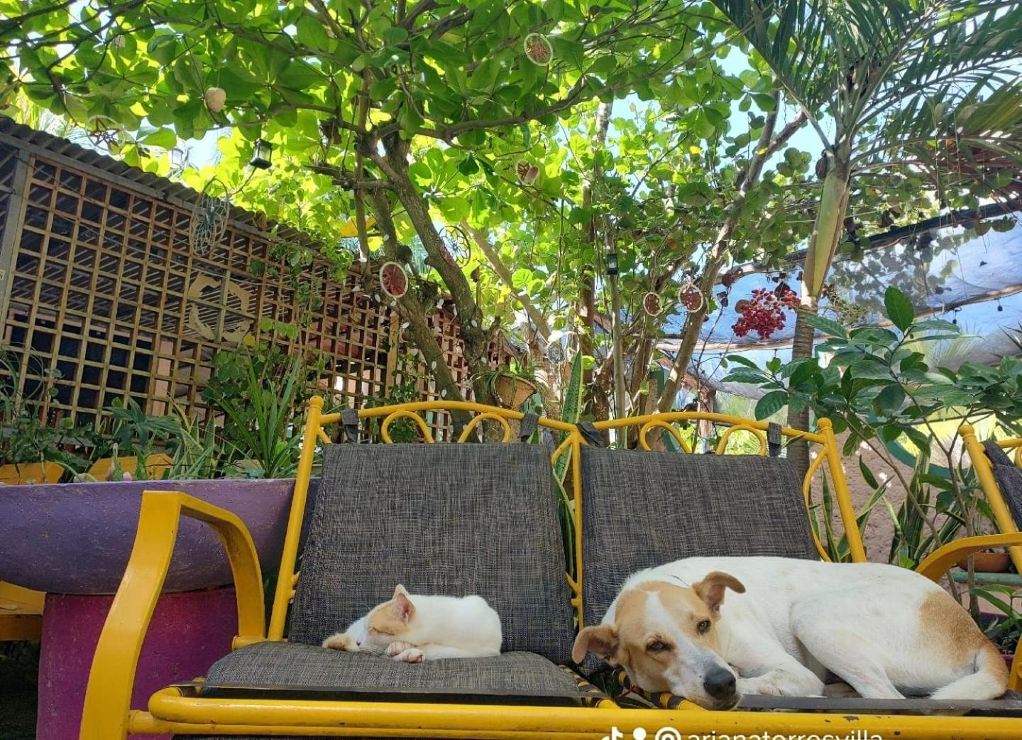 Hotel Gutierrez เซเลสตุน ภายนอก รูปภาพ